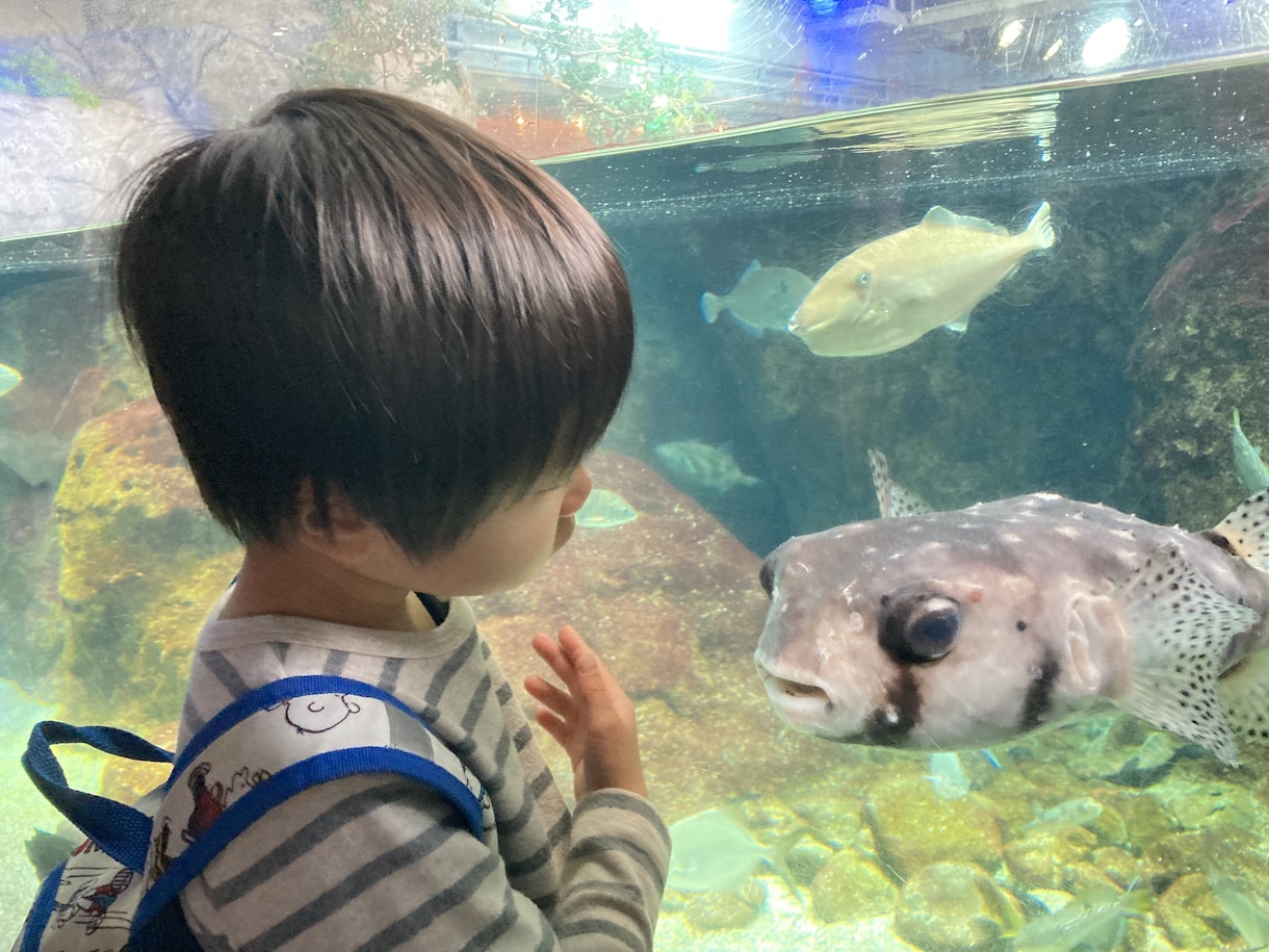 元・療育センターの保育士が、日々のモヤモヤ聴きます お子様とその関わり方について、1人で悩むことは遠回りですよ！ イメージ9