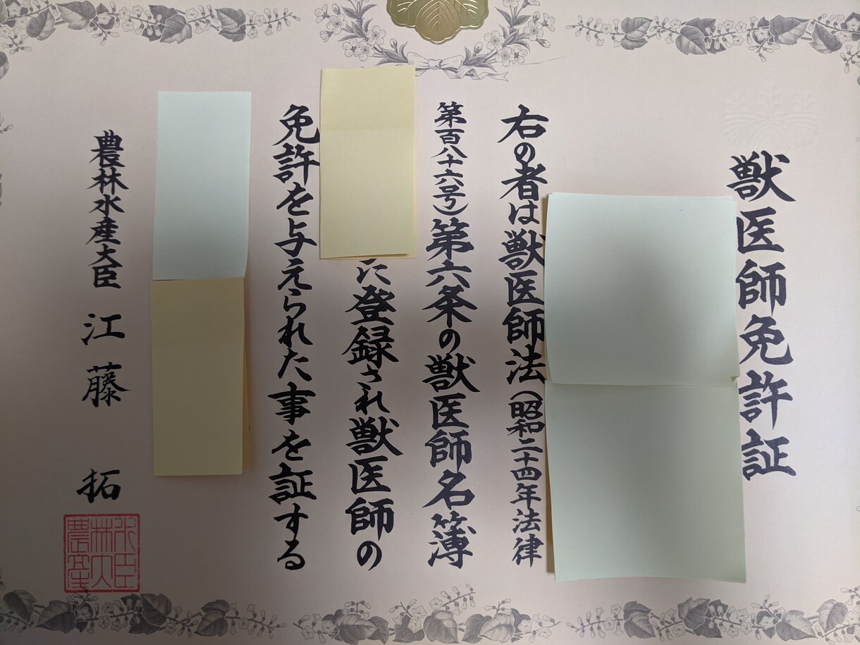 鳥の獣医になるためには？の疑問に答えます 実際に学習に役立つ書籍や学習〜診察に立つまでの流れを教えます イメージ1