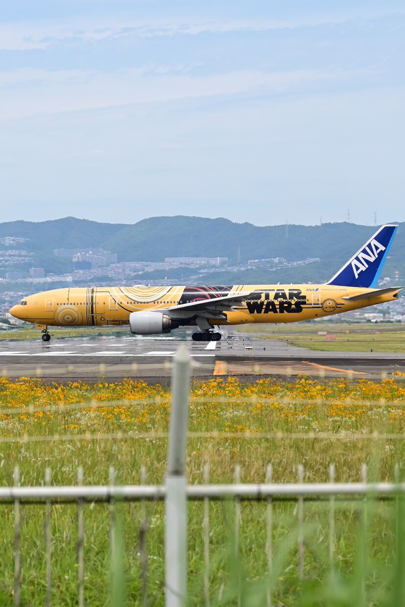 飛行機の写真をお探しの方にご提供します 飛行機が好きな方に写真をご提供さしてもらいます イメージ5