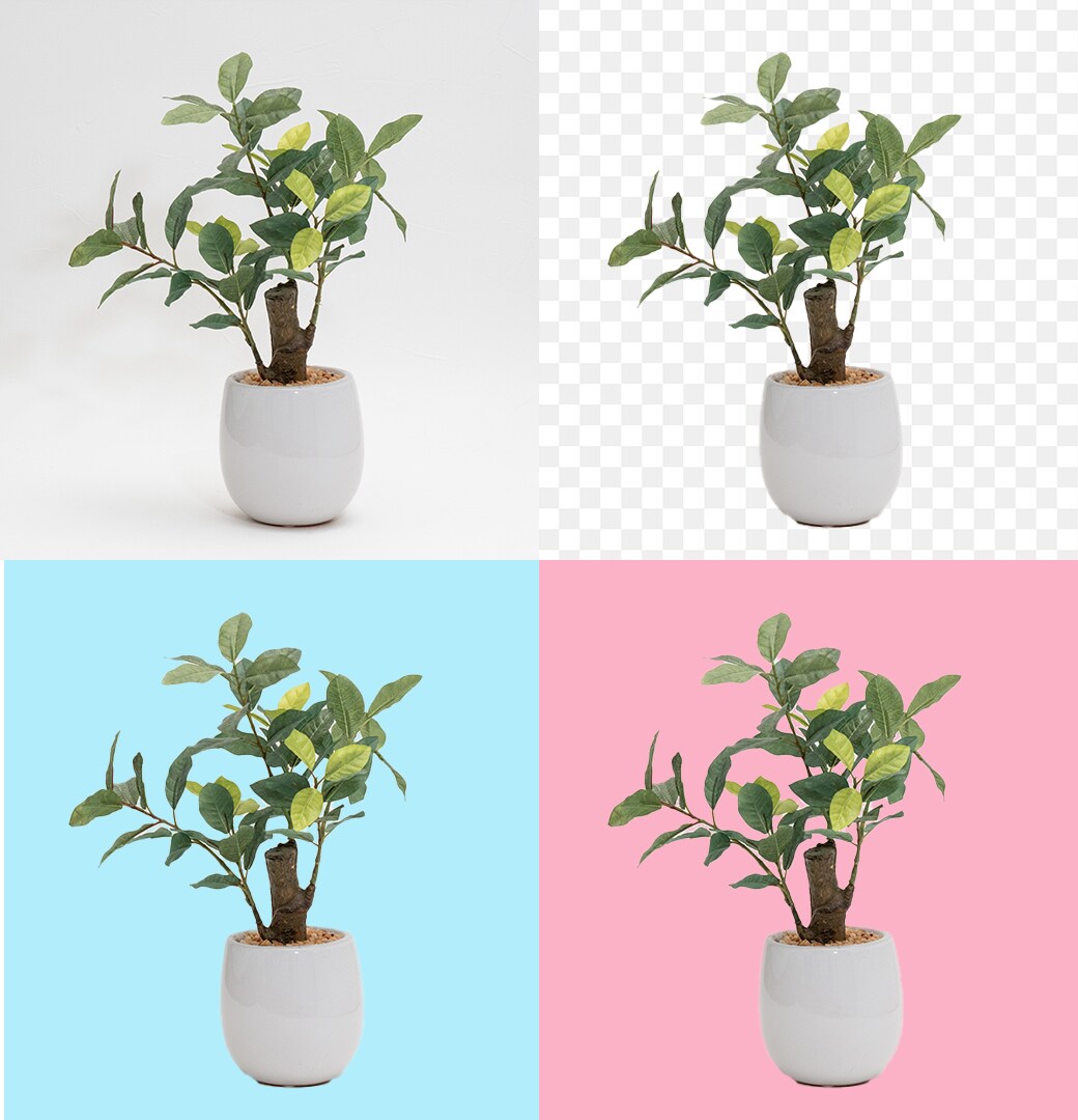 1カット¥1,000~白抜き用の写真撮影します 実績多数！写真の良さは販売促進につながります◎ イメージ3