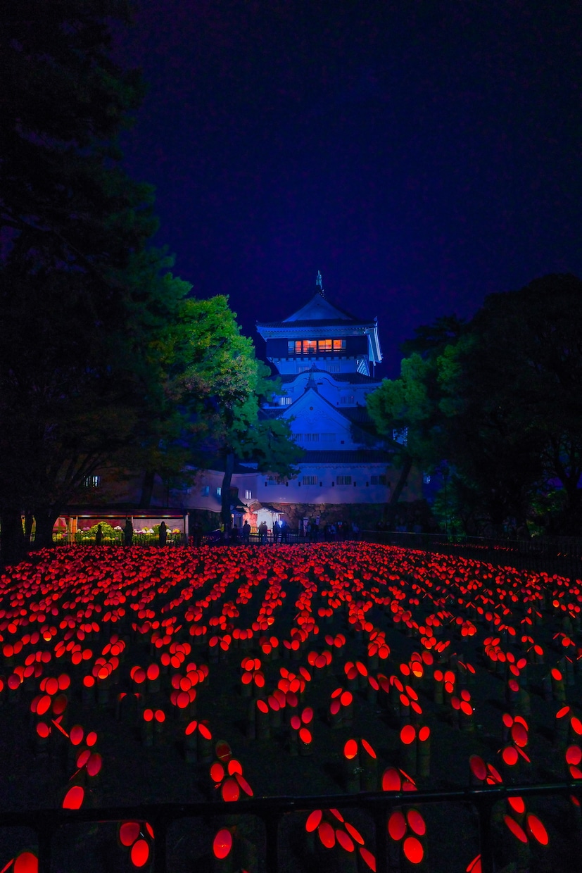 写真RAWデータレタッチします 写真のRAWデータをお送りいただければレタッチいたします。 イメージ3