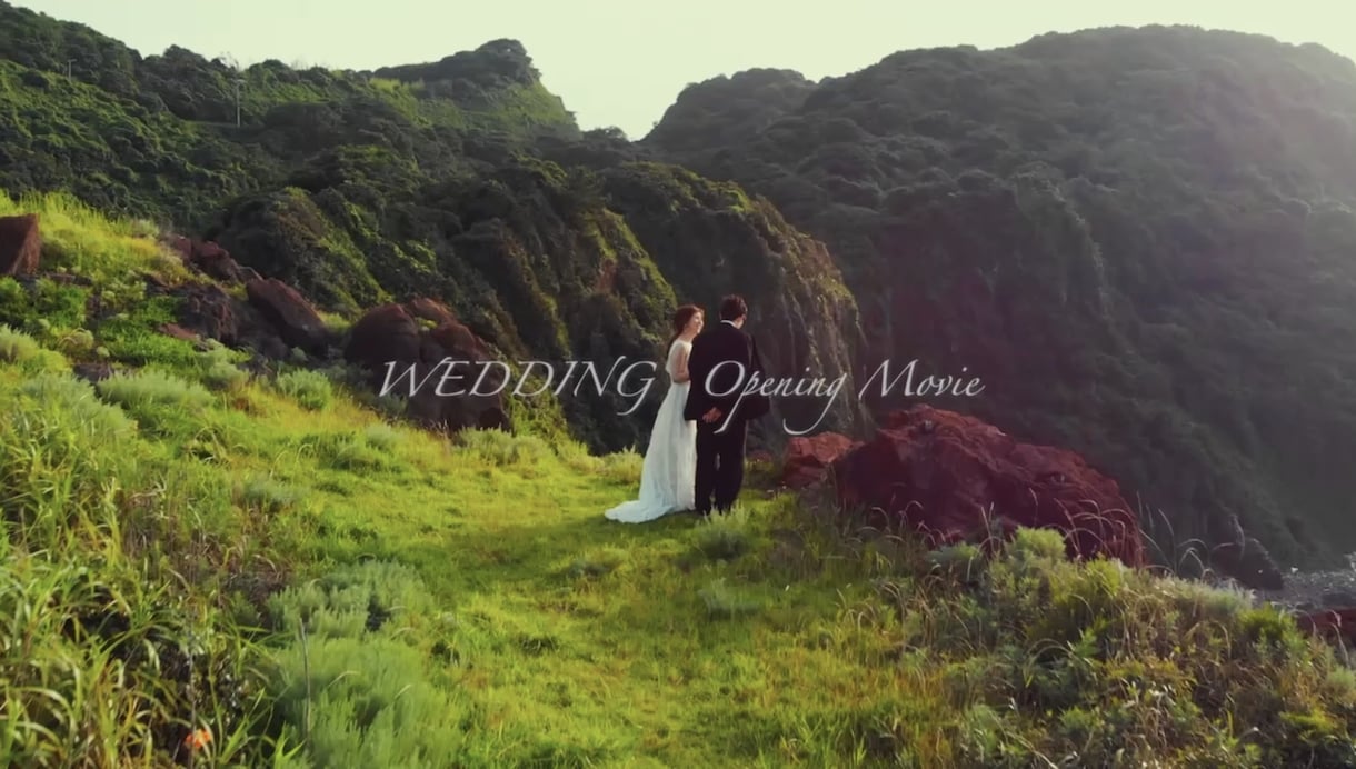 完全オリジナルの結婚式OPムービーを制作いたします ドローンを使用して素敵な映像を制作いたします。 イメージ1