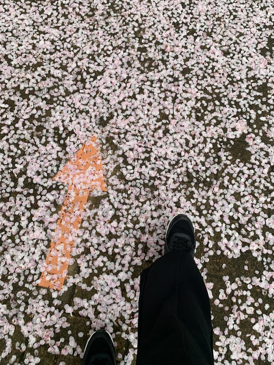 あなたにとっての吉方位お調べします 転勤や出張、旅行など移動には言いも悪いも星の動きが関連します イメージ1