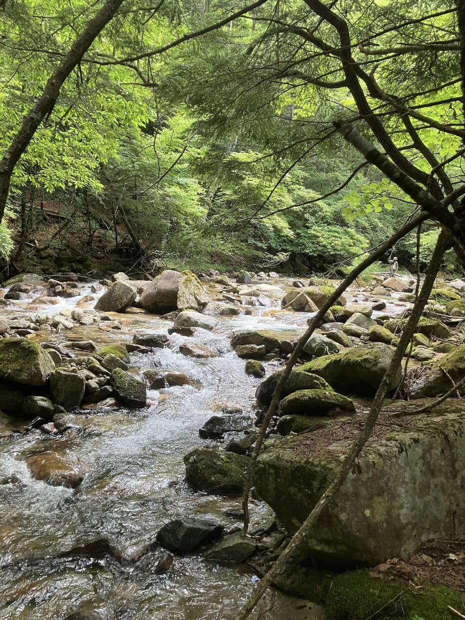 愚痴やモヤモヤをやさしくお聞きします 否定せず、気持ちを大切に受け止めます。 イメージ1