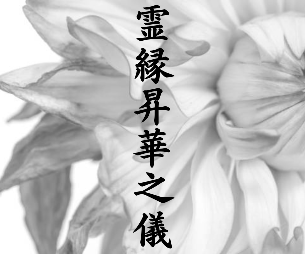 本気の方限定｜五日練成・霊縁昇華之儀を行います 五日間の特別施術で、魂のご縁を整え、閉ざされた運命を解き放つ イメージ1