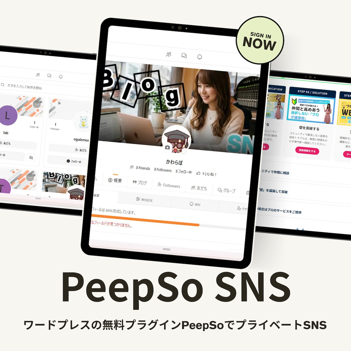 PeepSoでSNS構築を格安・最速サポートします ワードプレス初心者OK！業界最安値＆即レスでSNS化を実現 イメージ1
