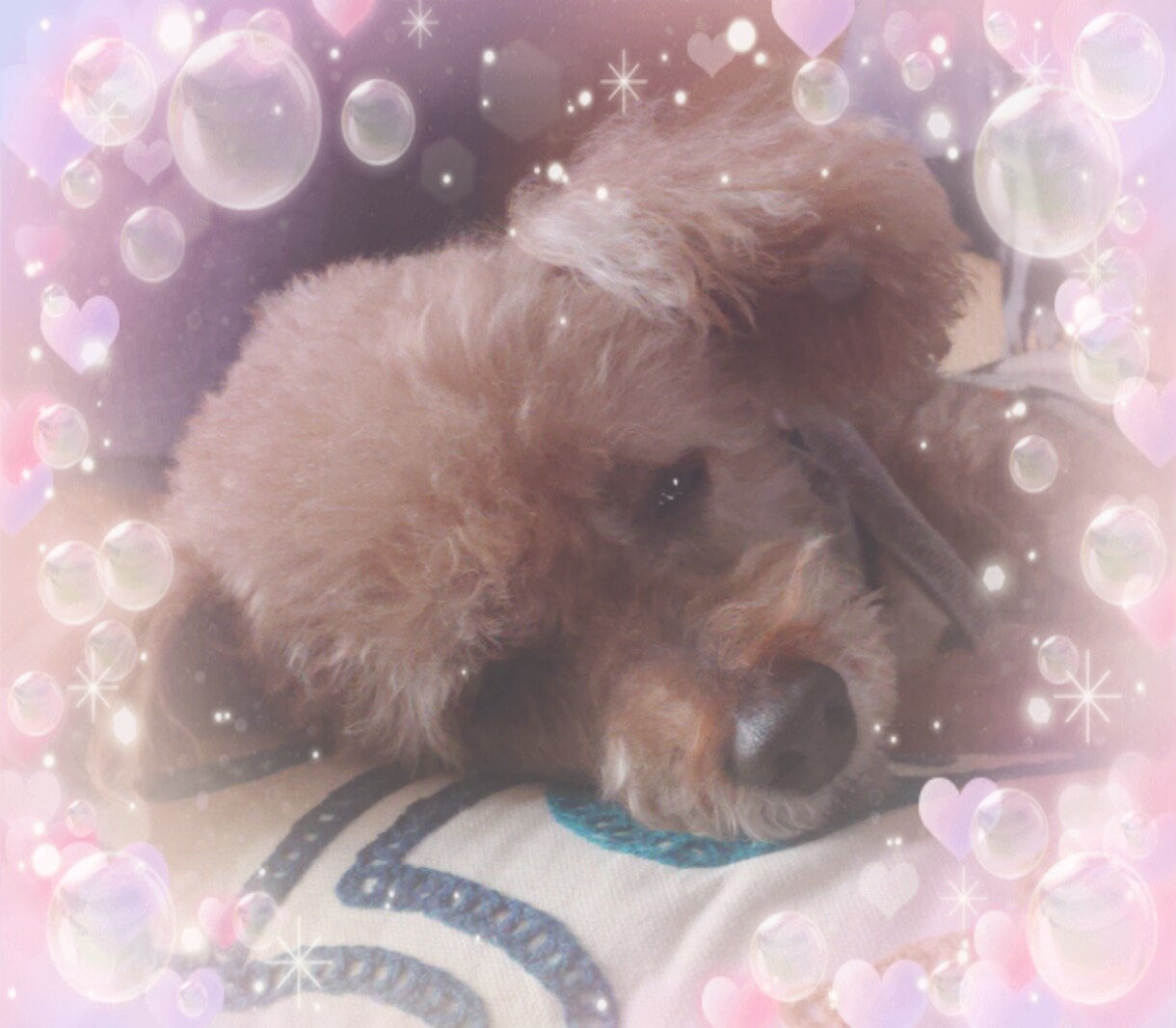 はい！聞きます 直接電話で話を聞いて欲しい方お待ちしてます(*^^*) イメージ1