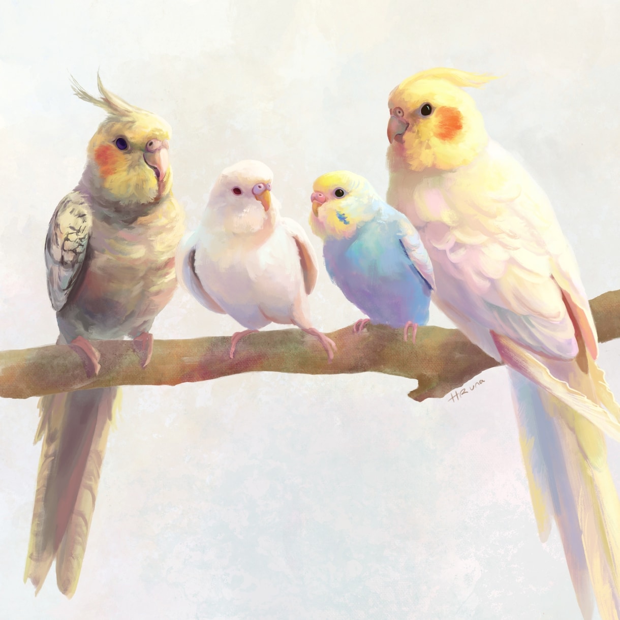 かわいいインコのイラストを描きます インコなどの鳥さんのリアルな絵を作りたい方に イメージ3