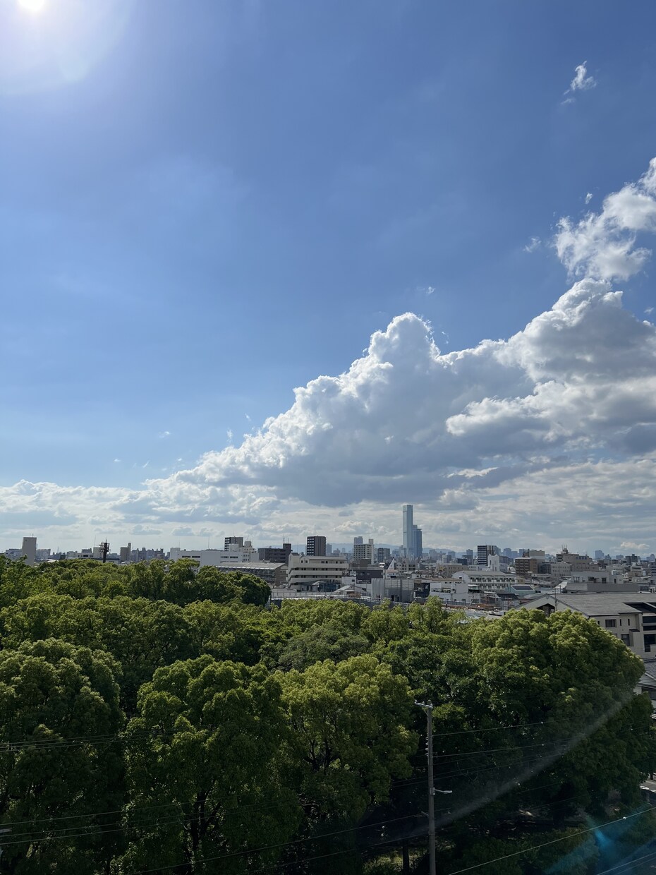 辛いうつ・パニック　寄り添います 20年あまり、うつ・パニック障害の息子と共に歩んできました イメージ6