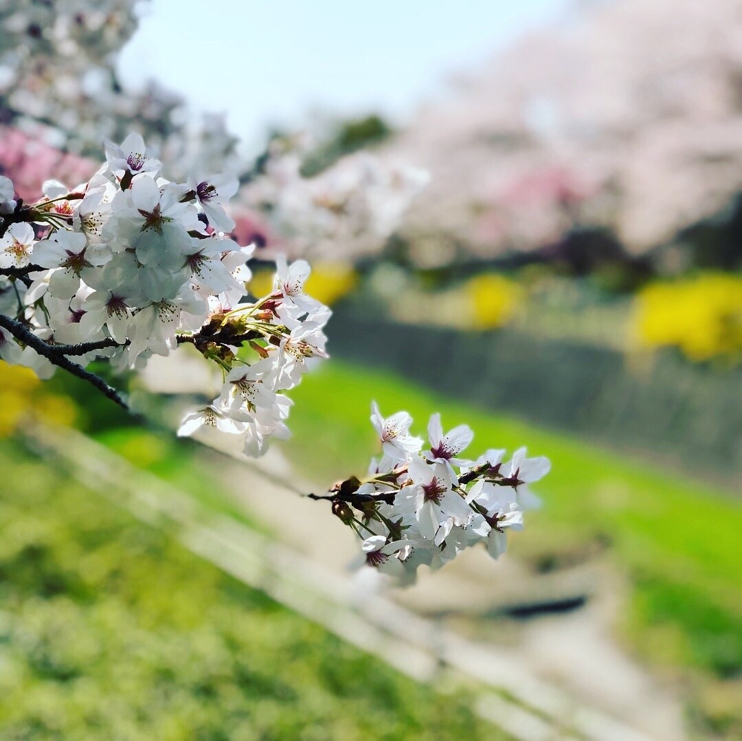 パチンコ卒業応援！励ましor私の体験談話します ご家族はあなたの帰りを待っていませんか？ イメージ1
