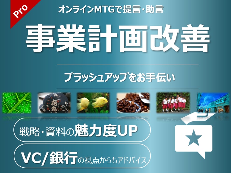 事業計画資料を評価・コメント、改善策を提案します ベンチャーキャピタル出身者が投資家・銀行側の視点でアドバイス イメージ1