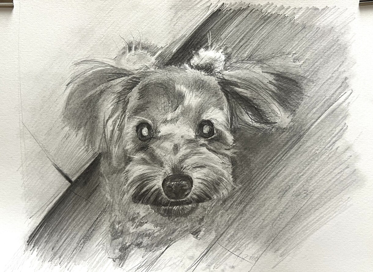 写真を元に、あなただけの思い出の絵を描きます 部屋や会社の雰囲気をよくするための装飾品としておすすめです✨ イメージ8