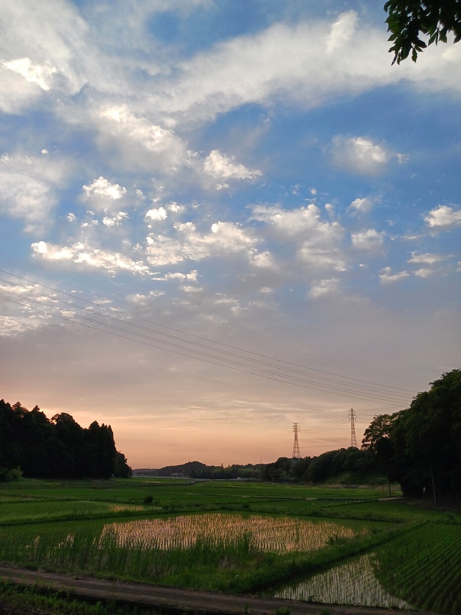 お仕事、家事お疲れ様です。お話聞きます 秘密は守ります。とにかく話がしたい、孫と話したい方へ。 イメージ4
