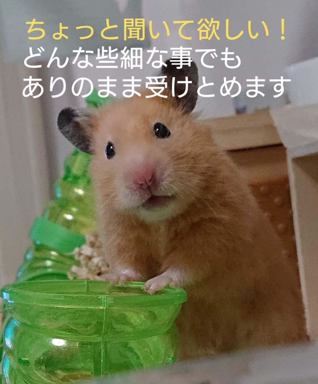 ちょっと聞いて欲しい！に応えます どんな些細な事でもありのままを受けとめます イメージ1