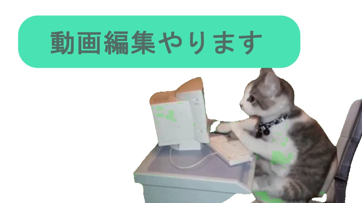 あなたの代わりにYouTube用の動画編集承ります ご要望に対し、柔軟に対応致します イメージ1