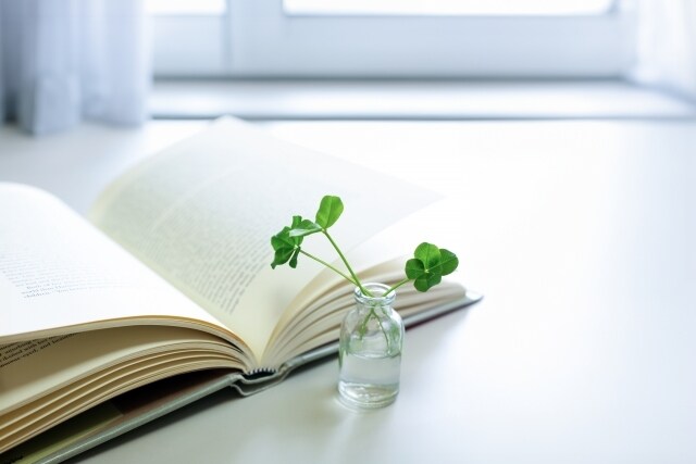 読書感想文の書き方を教えます 下書きが書ける！添削をしてもらえる！ イメージ1