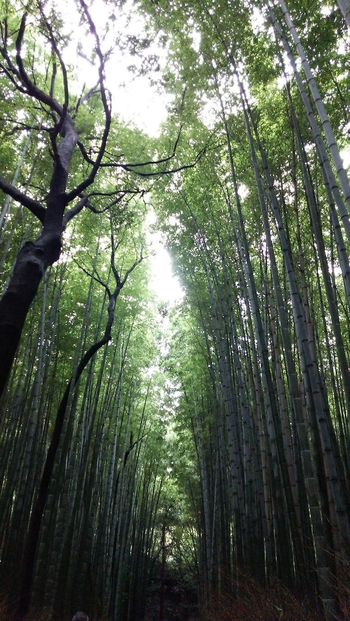 宿曜☆で気になるあの人の性格や相性をみます おふたりのご関係が気になる貴方に☆ イメージ1