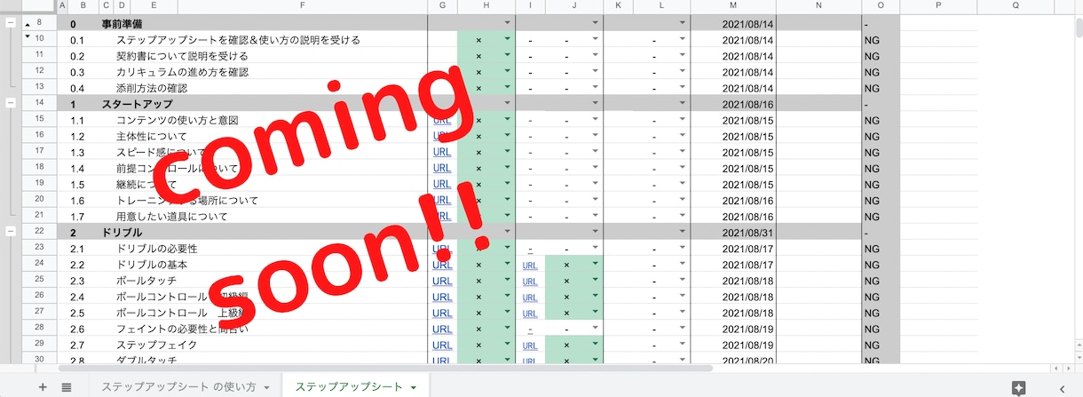 完全オンライン！サッカーの独学サポートします 普段時間がなくスクールに通えない大人のためのサッカースクール イメージ2