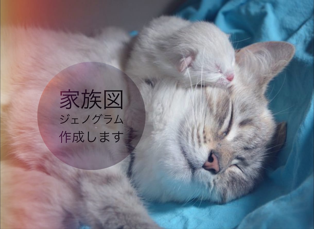 ジェノグラムと呼ばれる家族図をプロが作成します 家族紹介や会話のきっかけに☆カウンセリングや受診にもおすすめ イメージ1