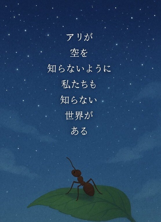 あなたの声に、そっと耳をかたむけます 本音がこぼれる場所、ここにあります。 イメージ4