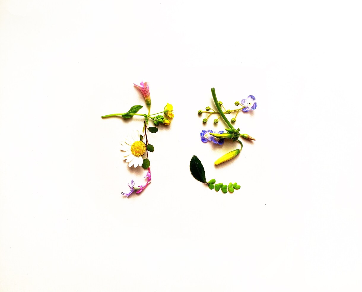 植物の表情を生かしてもじもじします 植物の形を愉快にお楽しみ頂けます。 イメージ4
