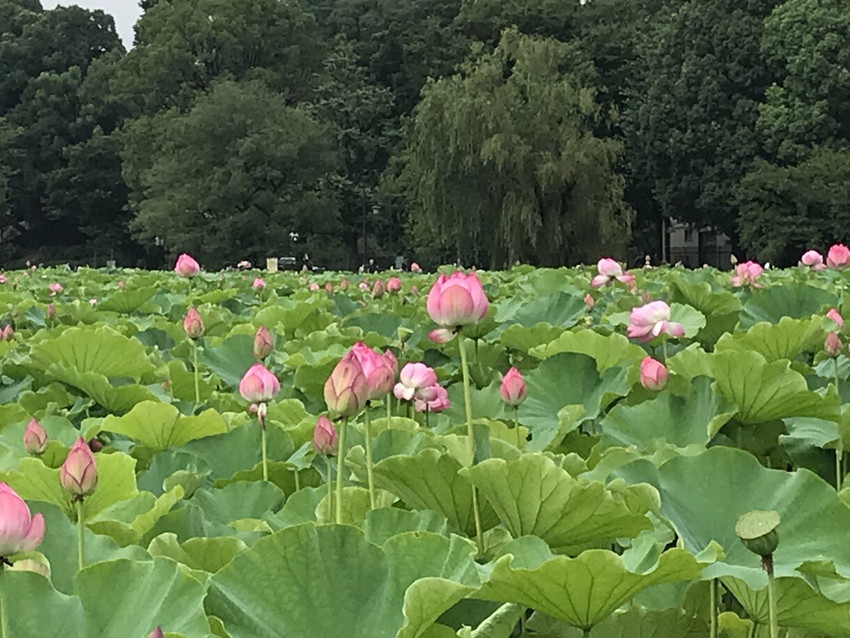 辛いと感じてある方へ、寄り添います 不安や心配、寂しい心はカウンセリングでお支えします イメージ5