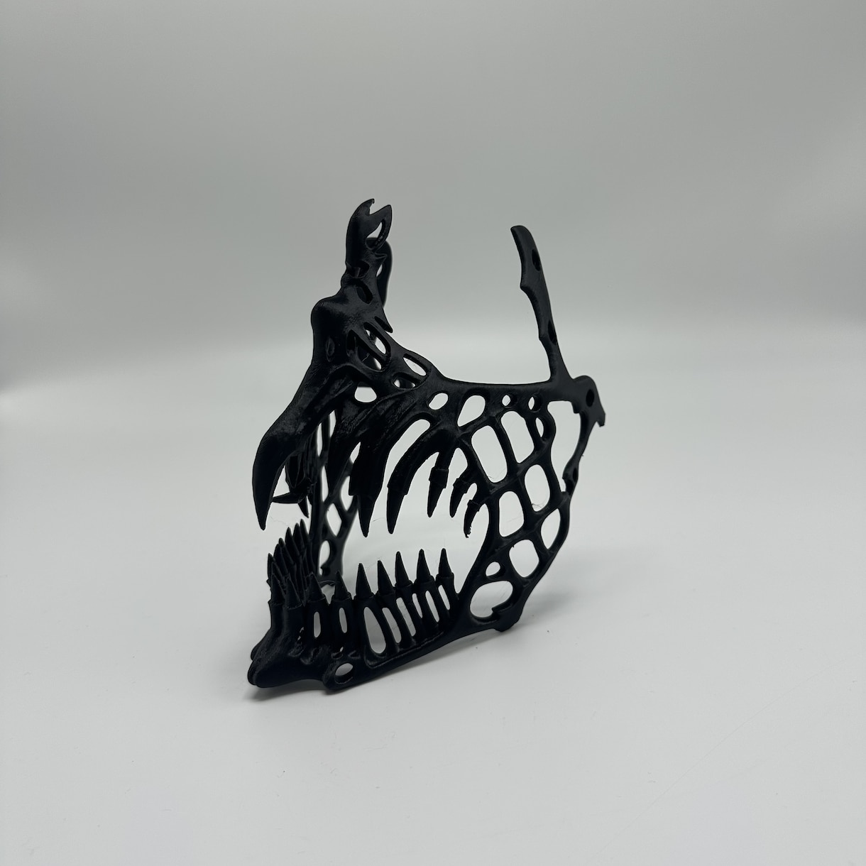 3Dの造形代行を行います バンブーラボH2Dを使って、お客様のデータを造形代行致します イメージ6
