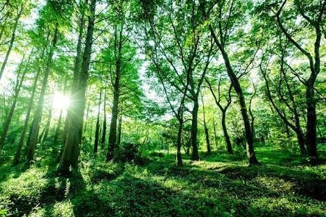 あなたのお悩みを一緒に解決いたします 誰かに悩みを聞いて欲しいあなたへ。なんでも大丈夫です。 イメージ1