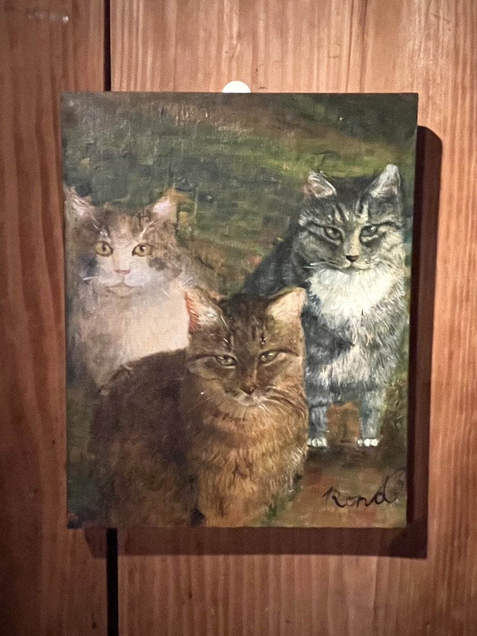 動物イラスト描きます 油絵や色鉛筆などを使って手元に残せる作品をお届けします イメージ6