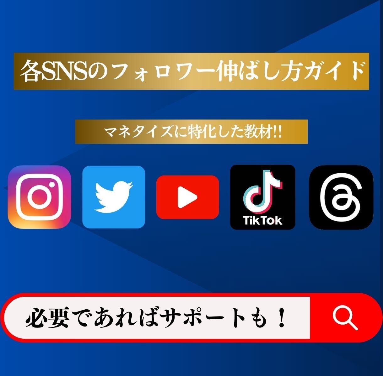 各種SNSの効果的なフォロワー増やし方教えます ✅SNS初心者大歓迎❗️最終的にはマネタイズも視野に入れよう イメージ1
