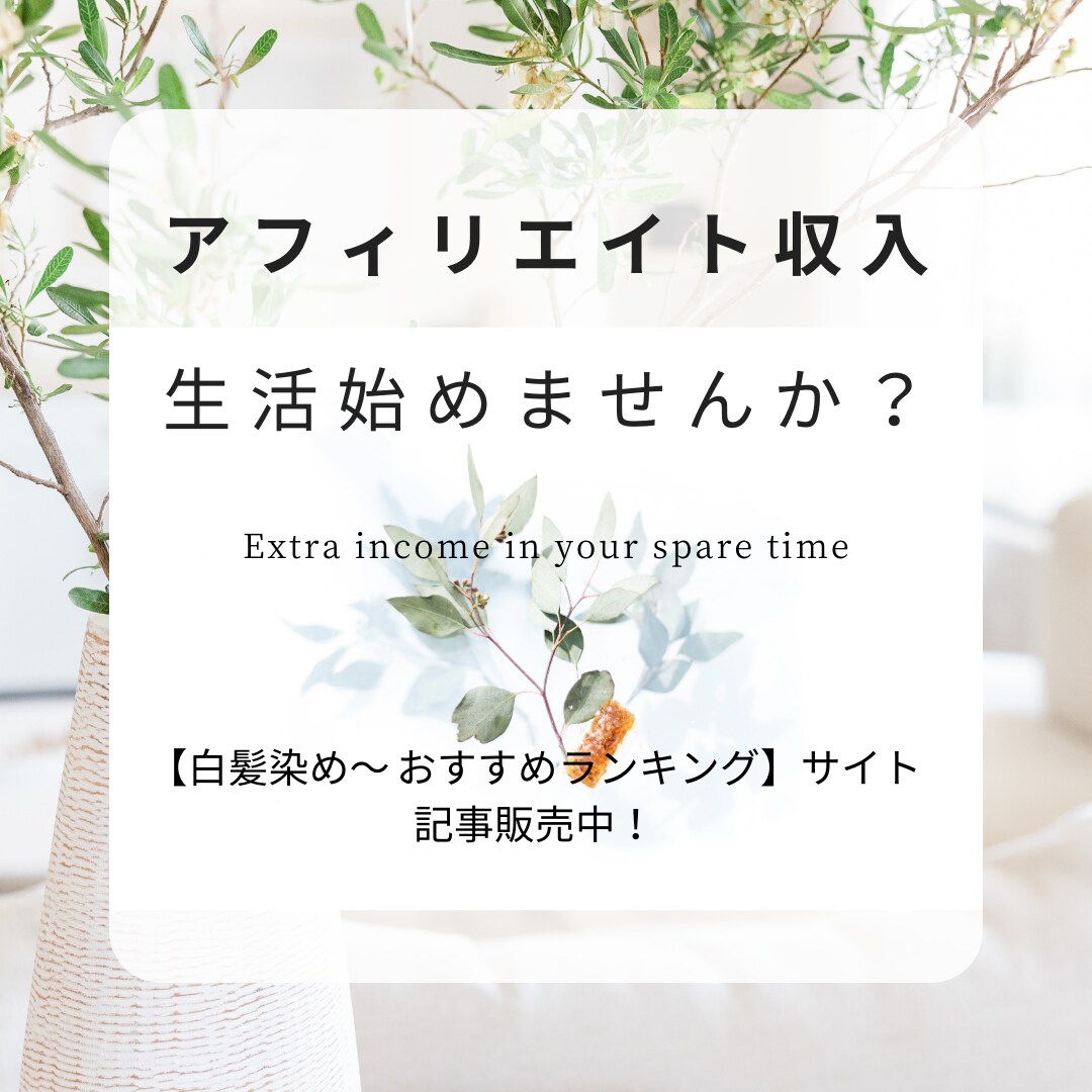 白髪染め～おすすめ比較ランキングの記事販売してます 白髪を意識し始める30代、40代以降の女性がターゲット イメージ1