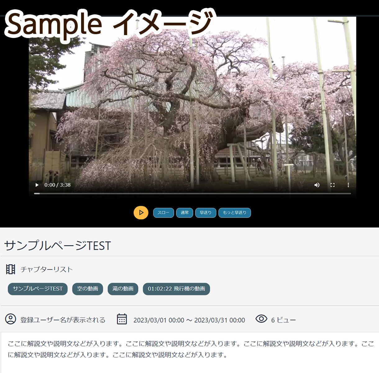 動画配信サイト・自社専用Youtubeを制作します 動画配信システムを安価に導入！分かり易いサポートをお約束！ イメージ3