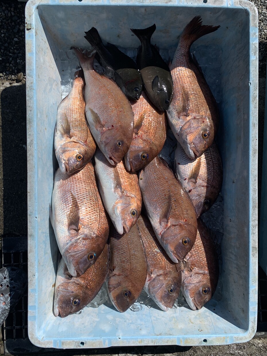海釣りの魅力はじめ方を教えます 釣り歴8年の私といっしょに釣って食べよう！(初心者,入門者) イメージ5