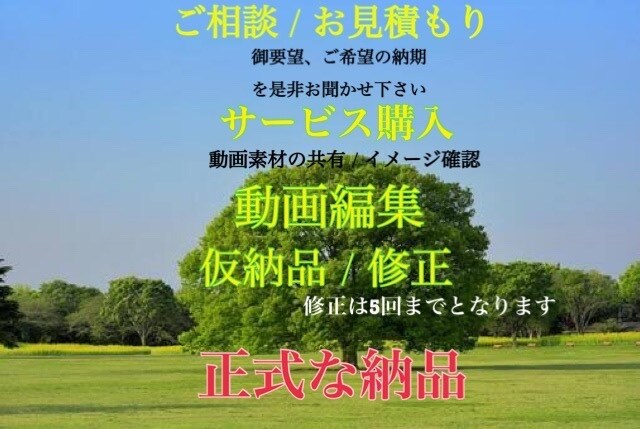 動画編集します TikTokや、YouTubeショート動画等の動画編集 イメージ2