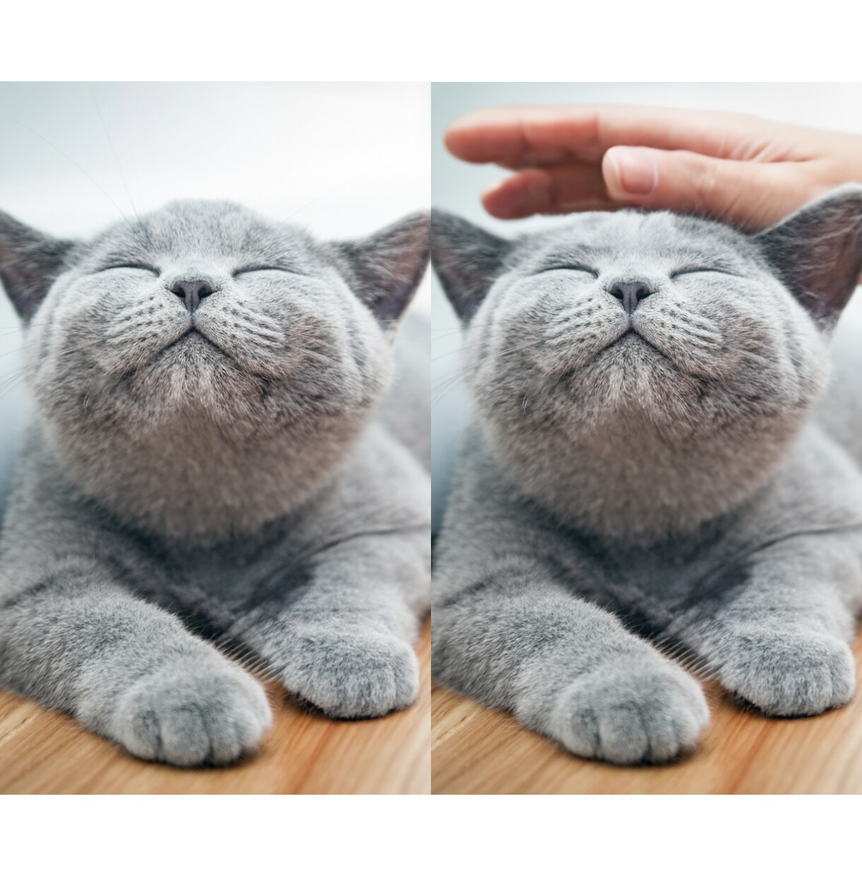 即日納品対応！高品質な画像加工を提供いたします 写真修正/編集/作成/使い方/修正/写真加工/人物 イメージ4