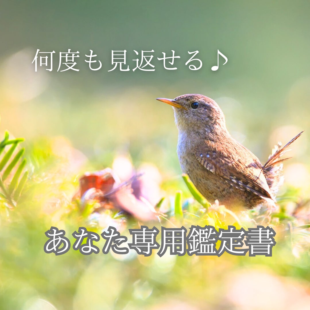 四柱推命であなたの生まれ持った魅力を読み解きます 【“わたし”を探求するすべての人へ】詳細な鑑定書をお届け♪ イメージ3