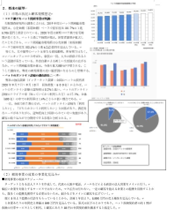 新事業進出・ものづくり補助金の計画書を支援します 審査を踏まえた【高品質な】事業計画書を【素早く】支援します。 イメージ8