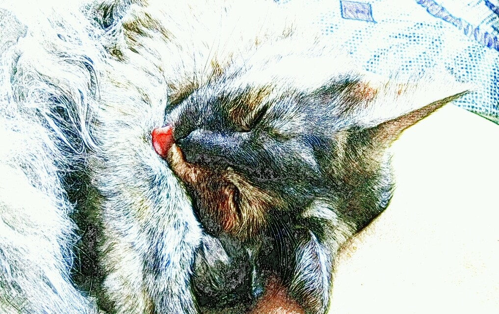 お話(*´ω｀*)聞きます 話したい時にそっと寄り添います 心を、軽くしましょう♪ イメージ5