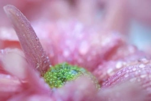 婚活についてのアドバイス、ご相談に応じます 現役婚活カウンセラー、仲人がお答えします イメージ1