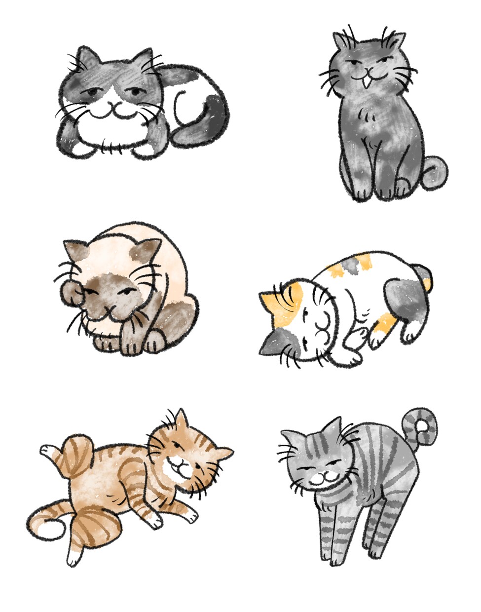 お好みの猫ちゃん描きます あなたのご要望通りの猫ちゃんを。 イメージ1