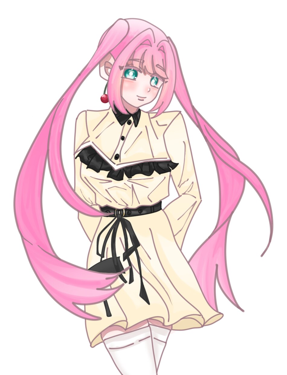 あなたの大切なキャラクターを可愛くイラストにします あなたの理想をイラストにしてみませんか？ イメージ4