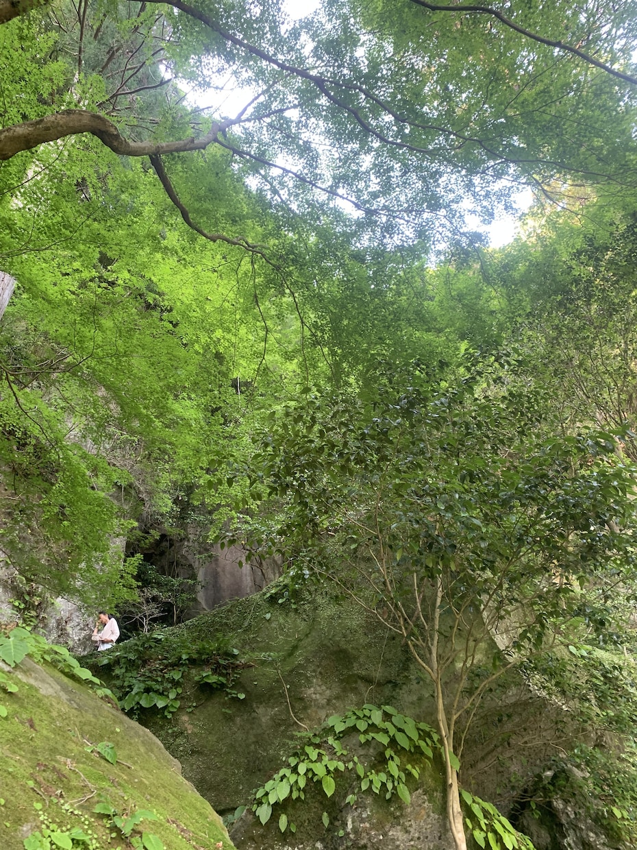 初回✳︎モヤモヤ突破✳︎魂からの伝言お伝えします 在りたい未来を創造するためのアカシックからのメッセージ イメージ5