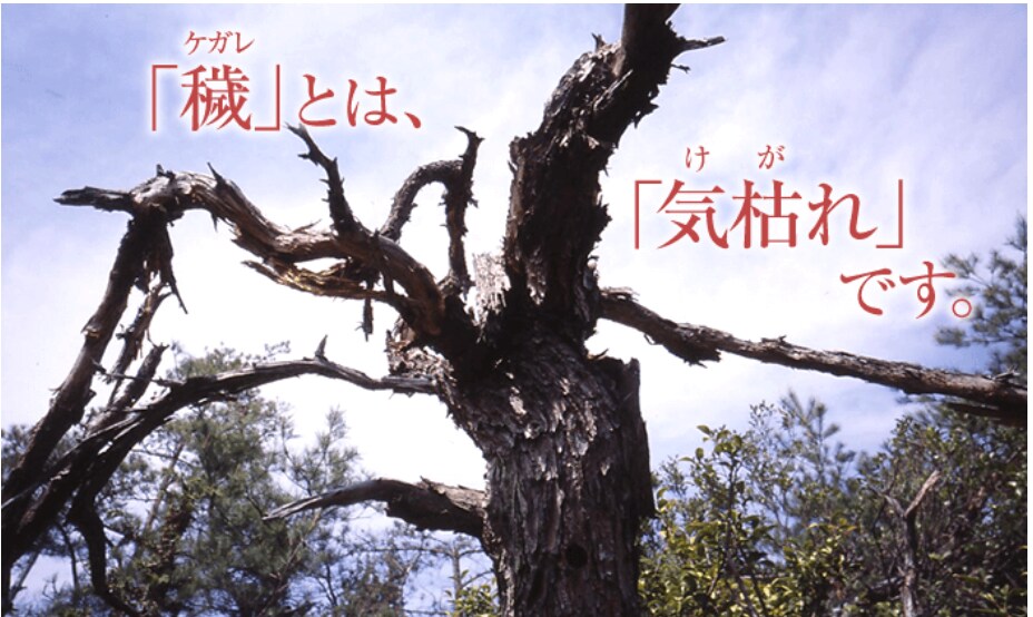 今年を最高の締めくくりにし願望成就のサポートします あなたらしく輝ける生き方、運気の流れを変えたい人向けです イメージ2