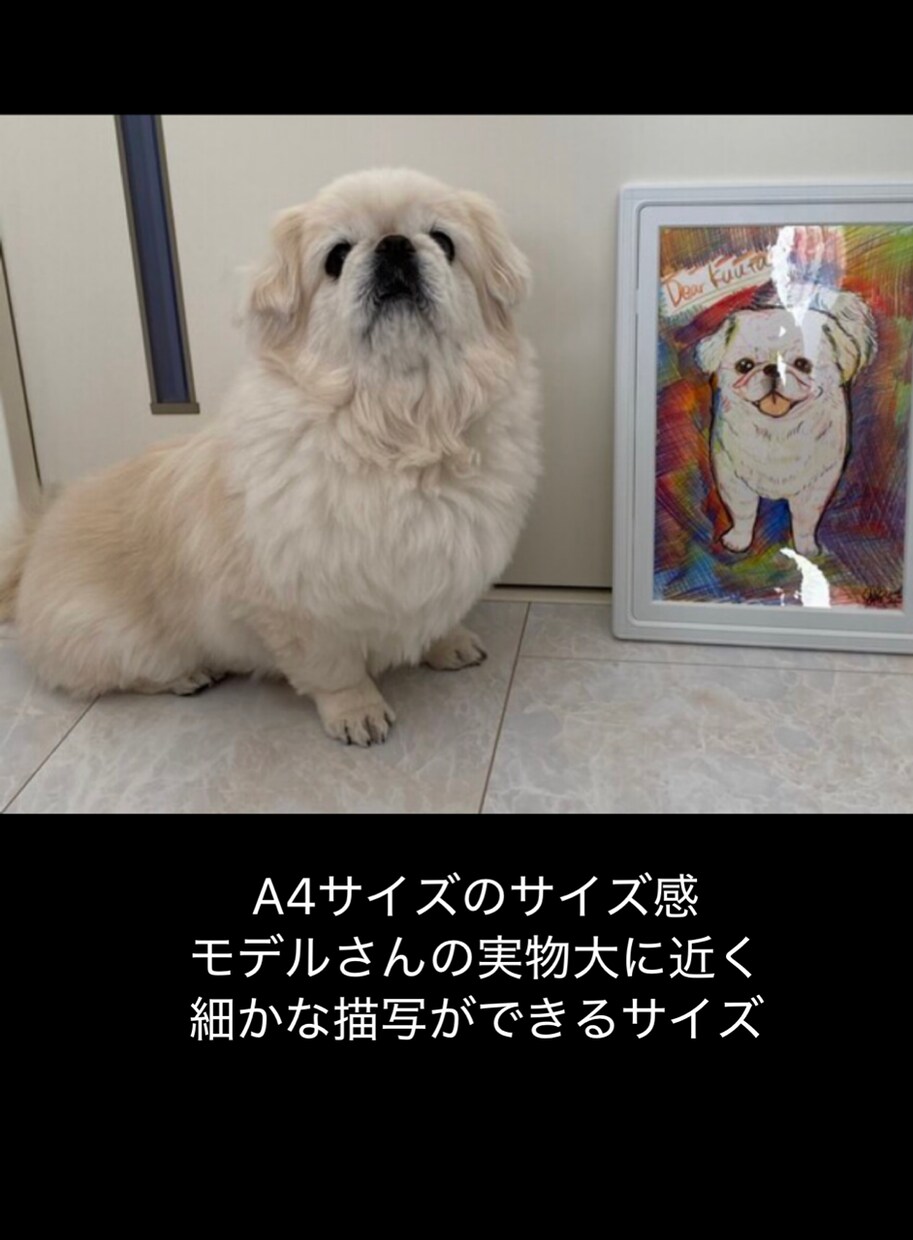優しい水彩画タッチのうちの子似顔絵イラスト描きます ペット専門似顔絵師が優しいタッチの似顔絵製作 イメージ8
