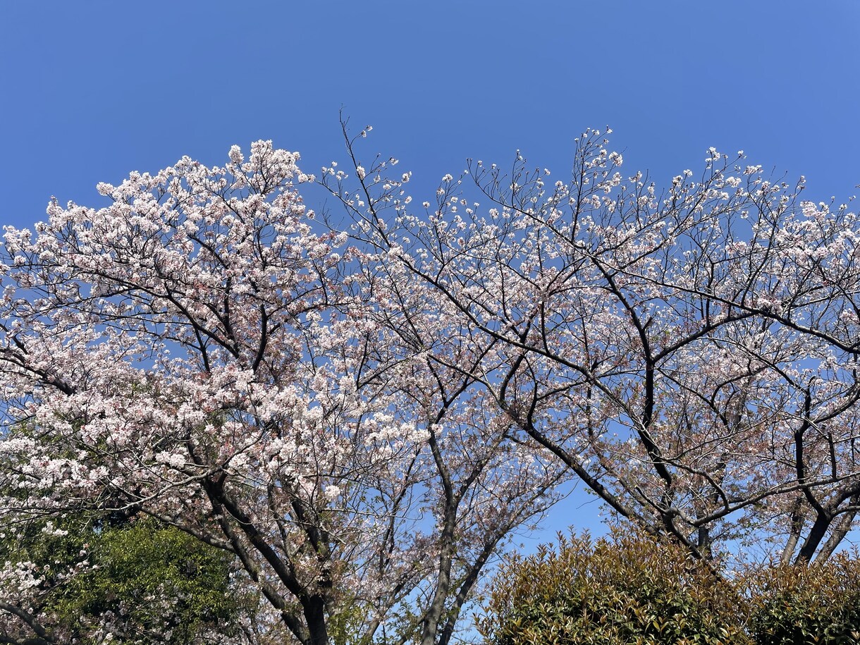 特別な方に追われるあなたに☆親身にアドバイスします 複雑系様専用⭐︎縁切りと縁結びを同時施術いたします イメージ4