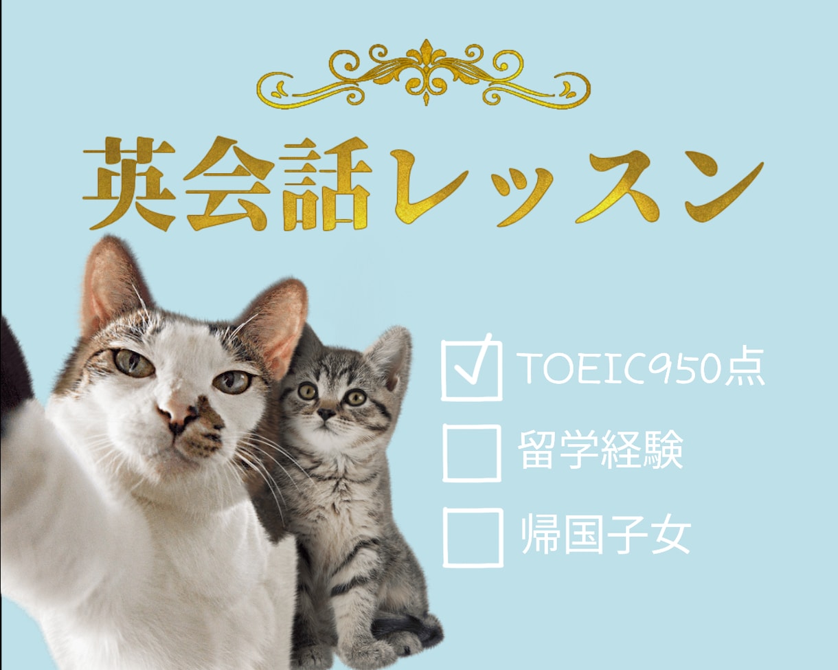 TOEIC950純ジャパが英会話の練習お相手します 英会話練習したいけど、いきなりネイティブは不安な方に最適です イメージ1