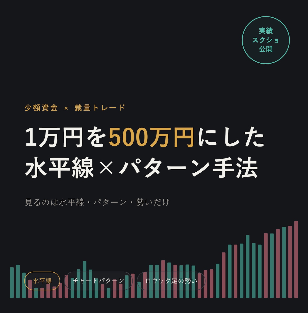 1万円を500万円にした手法教えます 専業になるための資金をコレで作りました イメージ1