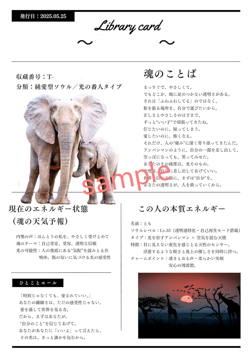 The Soul Book──魂の記憶をひらきます 占いでは届かない、魂の記憶を言葉にします イメージ4