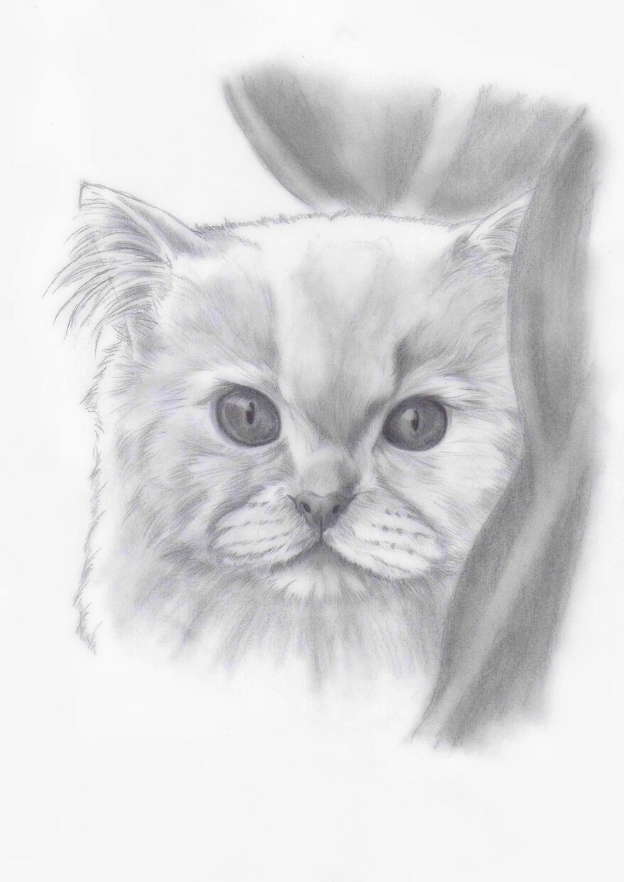 お写真をもとに鉛筆画をお描きします 大事なペットの愛すべきお顔を温かみある絵に イメージ4