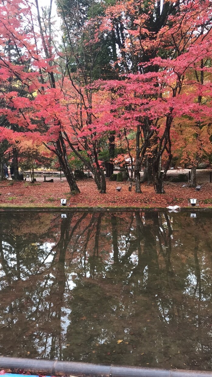FP3級の勉強をサポートします 何から始めればいいのかわからない人 イメージ1